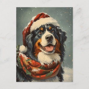 Berner Berghund Weihnachten Postkarte