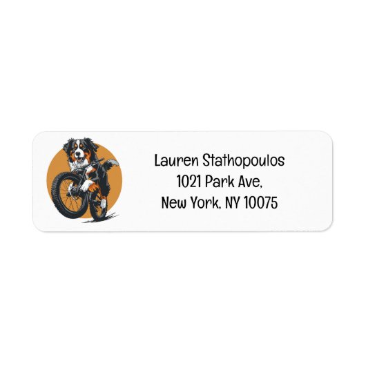 Berner Bergsee-Zauber im Val Piora (Vorne)