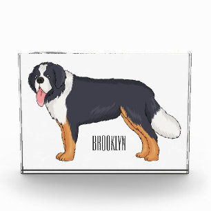 Berner Cartoon Fotoblock