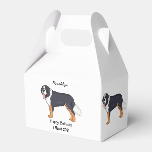 Berner Cartoon Geschenkschachtel (Vorderseite)