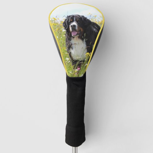 Berner Hund auf dem Feld Golf Headcover (Vorderseite)
