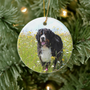 Berner Hund auf dem Feld Keramik Ornament