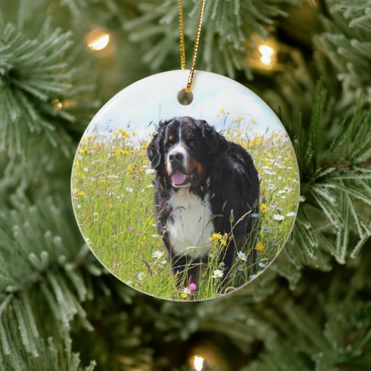 Berner Hund auf dem Feld Keramik Ornament (Baum)