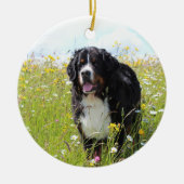 Berner Hund auf dem Feld Keramik Ornament (Vorne)