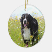 Berner Hund auf dem Feld Keramik Ornament (Links)