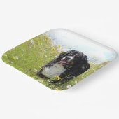 Berner Hund auf dem Feld Pappteller (Gewinkelt)