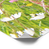 Berner Hund auf dem Feld Poster (Ecke)