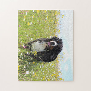 Berner Hund auf dem Feld Puzzle