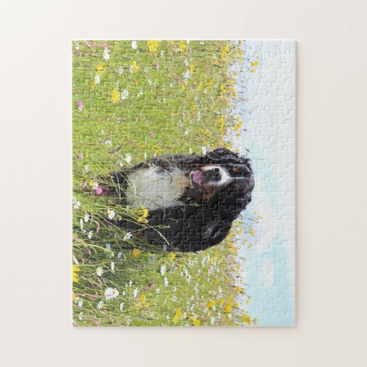 Berner Hund auf dem Feld Puzzle (Vertikal)