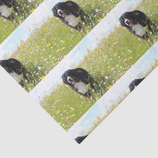 Berner Hund auf dem Feld Seidenpapier (Ausschnitt)