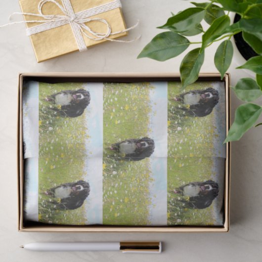 Berner Hund auf dem Feld Seidenpapier (Geschenk)