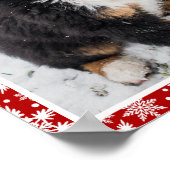 Berner Hund Auf Rot und Weiß Schneeflocke Poster (Ecke)