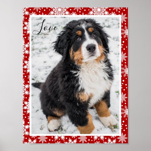 Berner Hund Auf Rot und Weiß Schneeflocke Poster (Vorne)