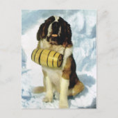Berner Hund, Bergrettung Postkarte (Vorderseite)