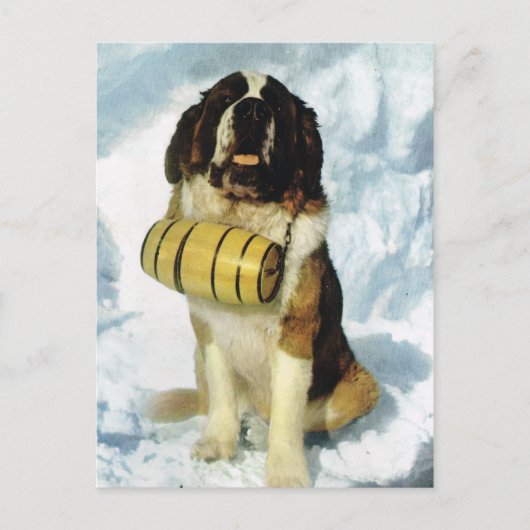 Berner Hund, Bergrettung Postkarte (Vorderseite)