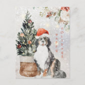 Berner Hund Bergsee Postkarte (Vorderseite)