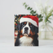 Berner Hund in Weihnachtsmannmütze Postkarte (Stehend Vorderseite)
