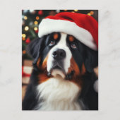 Berner Hund in Weihnachtsmannmütze Postkarte (Vorderseite)