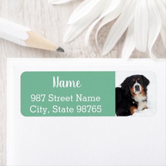 Berner Hund individuell anpassbar (Insitu)