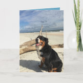 Berner Hund individuell anpassbar Karte (Vorderseite)