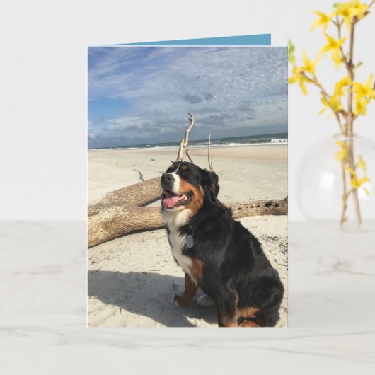 Berner Hund individuell anpassbar Karte (Gelbe Blume)