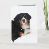Berner Hund individuell anpassbar Karte (Vorderseite)