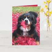 Berner Hund individuell anpassbar Karte (Gelbe Blume)