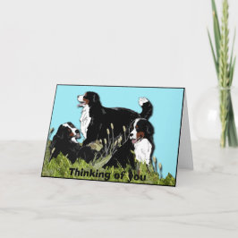Berner Hund Karte