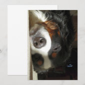 Berner Hund schlafend Einladung (Vorne/Hinten)