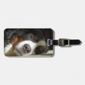 Berner Hund schlafend Gepäckanhänger (Vorderseite horizontal)