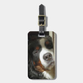 Berner Hund schlafend Gepäckanhänger (Vorderseite vertikal)