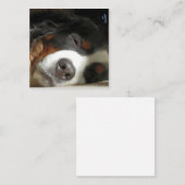 Berner Hund schlafend Mitteilungskarte (Vorne/Hinten)