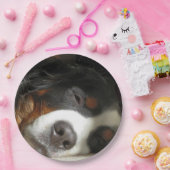 Berner Hund schlafend Pappteller (Party)