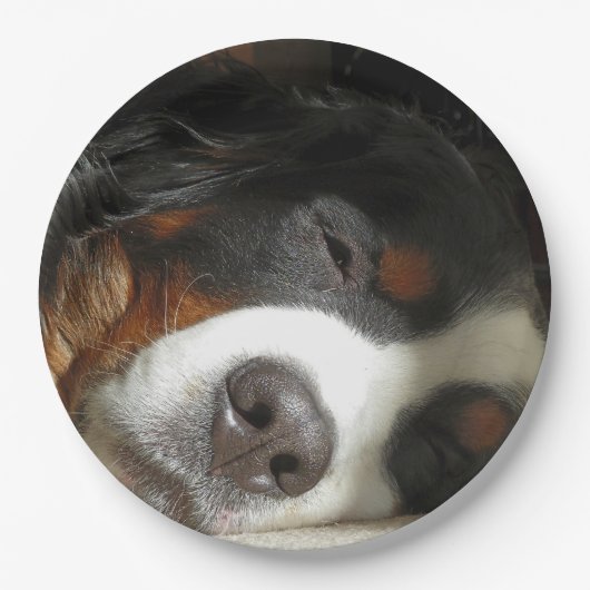 Berner Hund schlafend Pappteller (Vorderseite)