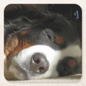 Berner Hund schlafend Rechteckiger Pappuntersetzer (Vorderseite)