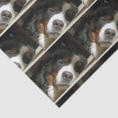 Berner Hund schlafend Seidenpapier (Ausschnitt)