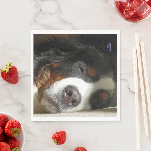Berner Hund schlafend Serviette (Beispiel)