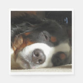 Berner Hund schlafend Serviette (Vorderseite)