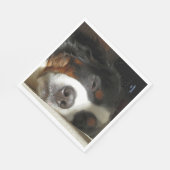 Berner Hund schlafend Serviette (Ecke)