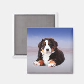 Berner Hund sitzend am Strand Magnet (Vorderseite/Rückseite)