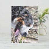 Berner Hund vierter Geburtstag Einladung (Stehend Vorderseite)