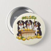 Berner Hunde auf einem Limonade-Stand Button (Vorne & Hinten)