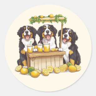 Berner Hunde auf einem Limonade-Stand Runder Aufkleber