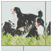 Berner Hunde im Gras Stoff (Nahaufnahme)