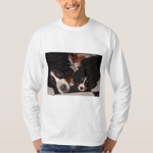 Berner Hunde Kopf zum T_Shirt der Männer