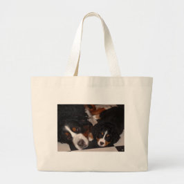 Berner Hunde Kopf zur Tasche