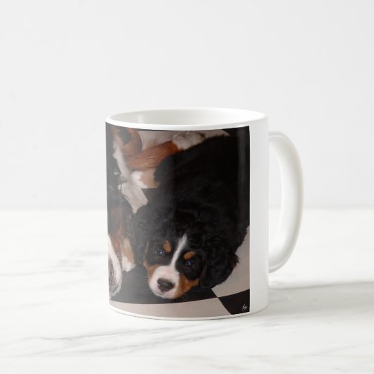 Berner Hunde Kopf zur TASSE (VorderseiteRechts)
