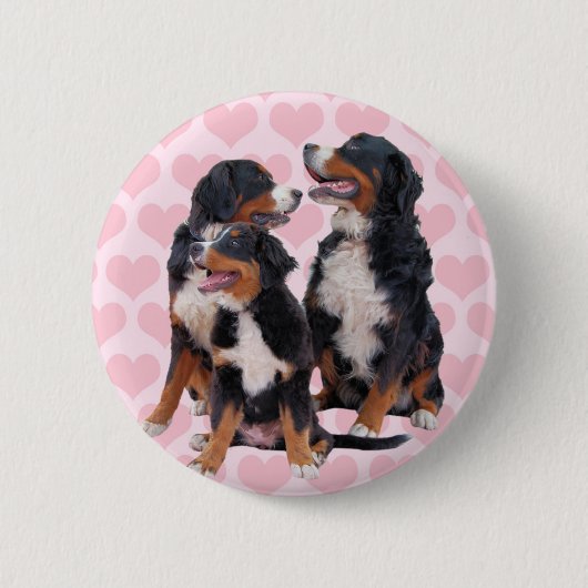 Berner Hunde mit rosa Herzen Button (Vorderseite)