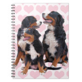 Berner Hunde mit rosa Herzen Notizblock (Vorderseite)