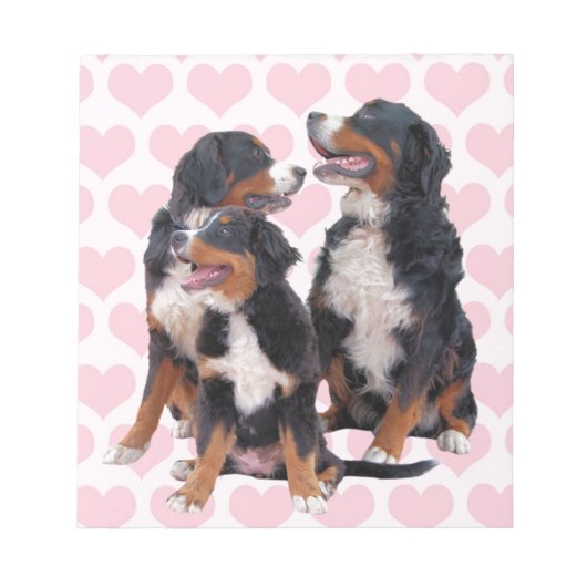 Berner Hunde mit rosa Herzen Notizblock (Vorderseite)